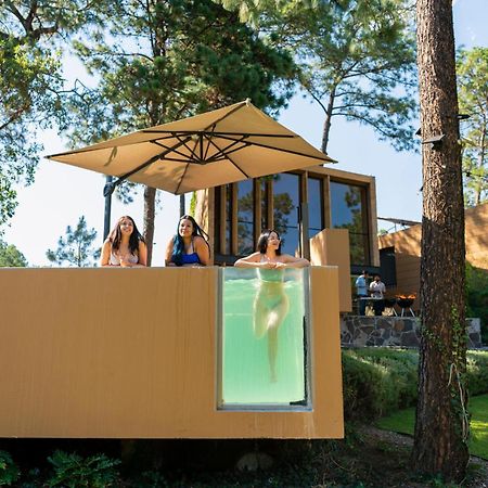 Cabana Lujo Con Alberca Climatizada Vistas Al Bosque De マサミトラ エクステリア 写真