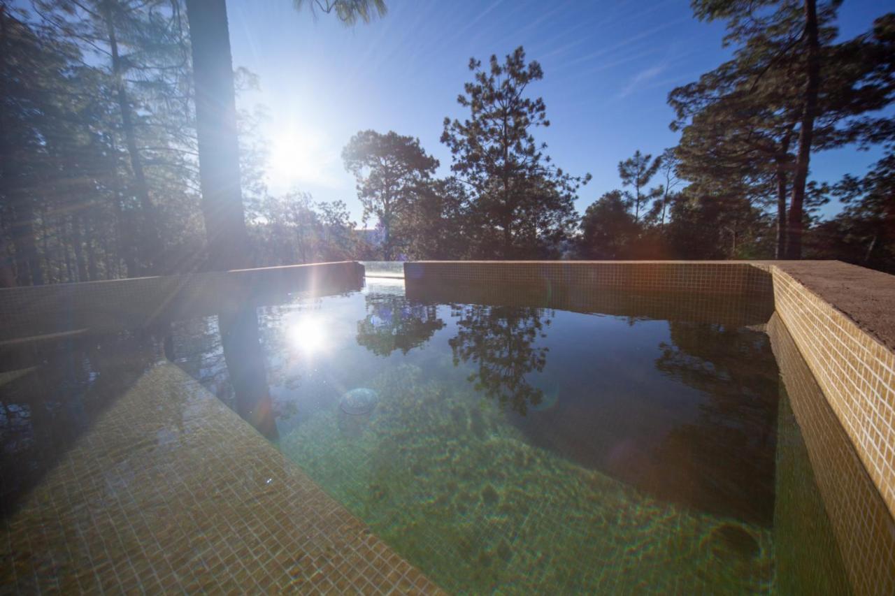 Cabana Lujo Con Alberca Climatizada Vistas Al Bosque De マサミトラ エクステリア 写真