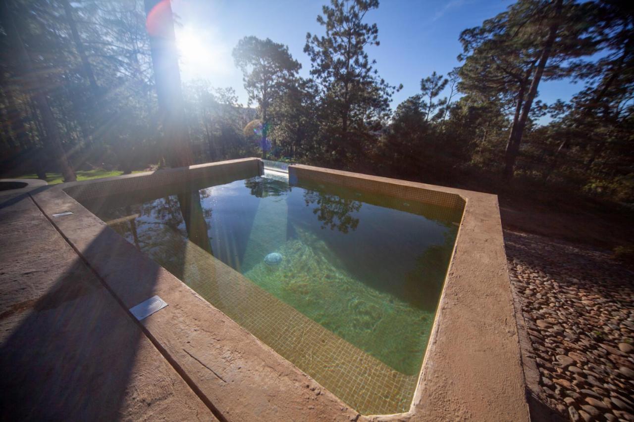 Cabana Lujo Con Alberca Climatizada Vistas Al Bosque De マサミトラ エクステリア 写真